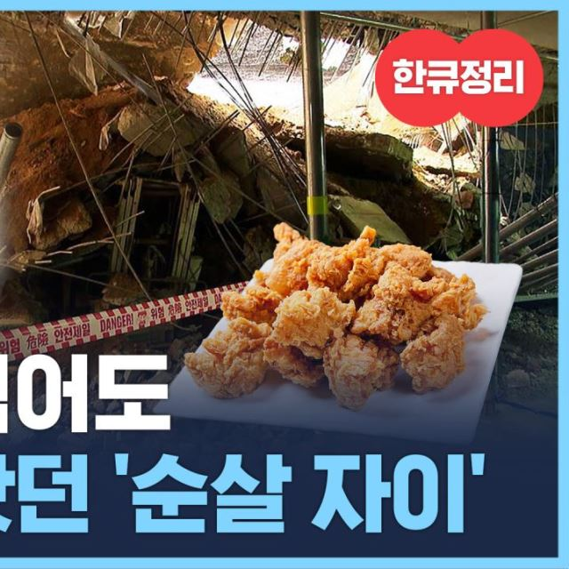 순살 자이